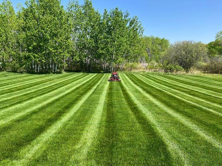 Lawn